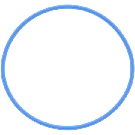 Reinz Camshaft Sens O-Ring 71-13888-00